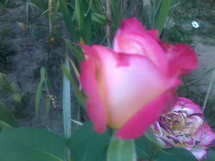 040920152632