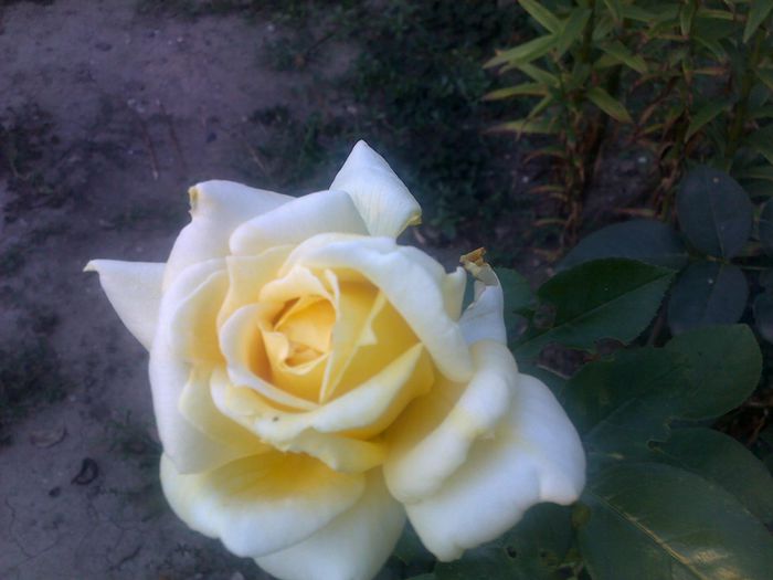 040920152638