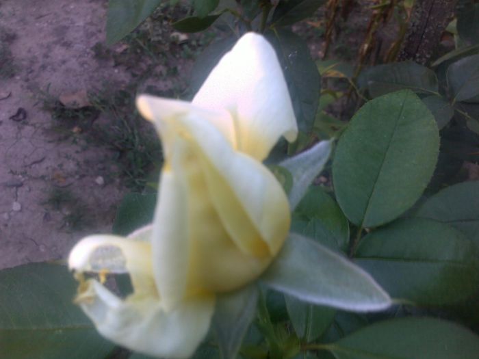 040920152639