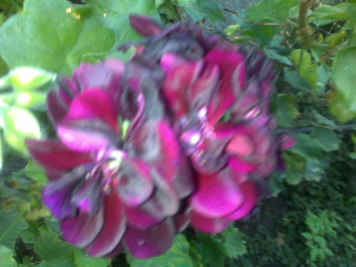 040920152647