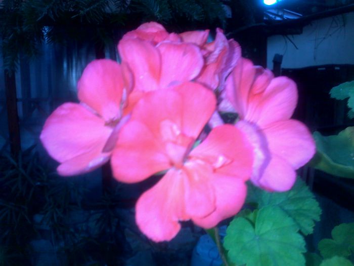 040920152653
