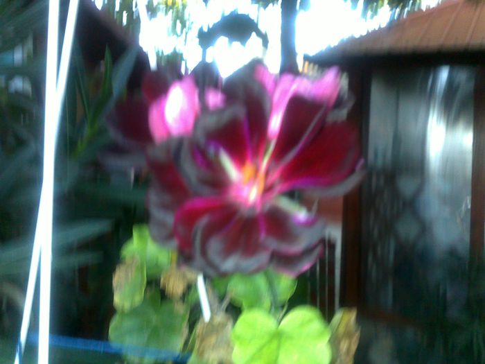 040920152654