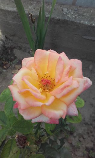 20150917_150059