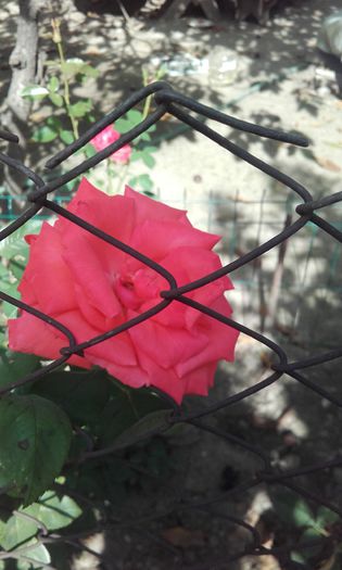 20150917_150409