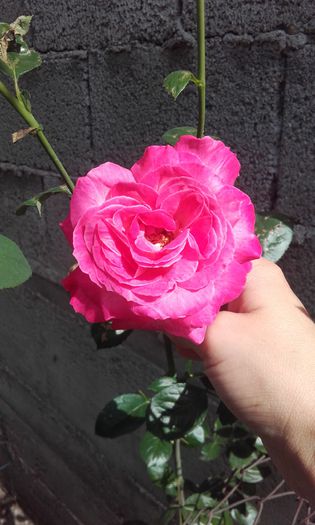 20150917_150419
