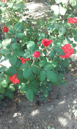 20150917_150437