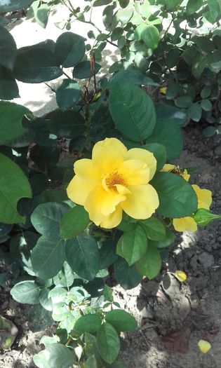 20150917_150457
