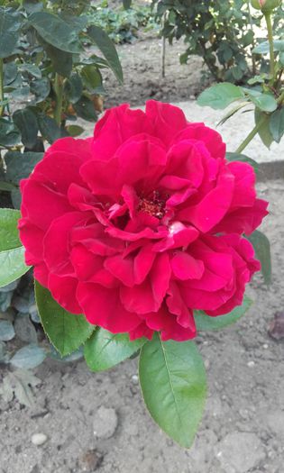 20150917_150530