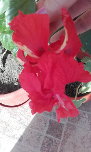 20150917_102510 - hibi 2015