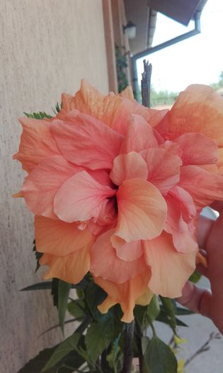 20150917_145903