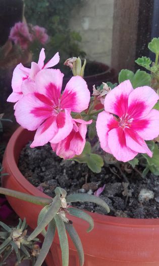 20150917_150025