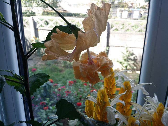20150918_120859
