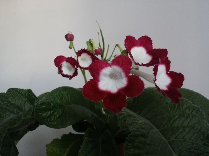 20150918_095602