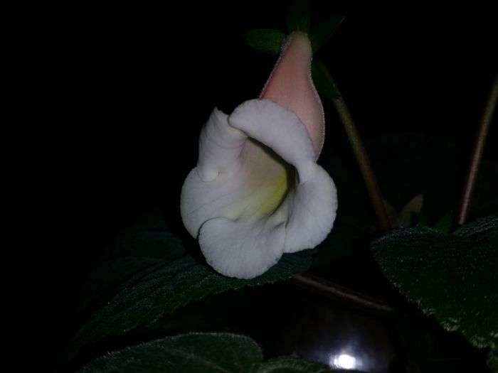 20150918_073608