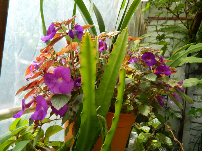 DSCN1464