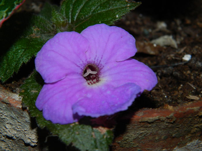DSCN2880