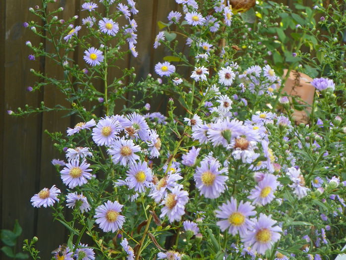 18 sept 040