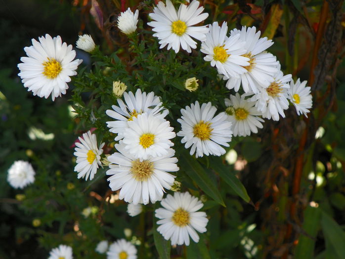18 sept 043