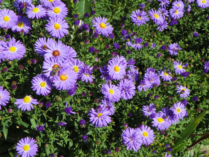 18 sept 053