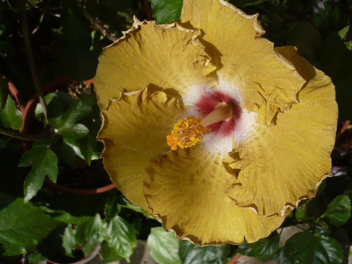 P1240129