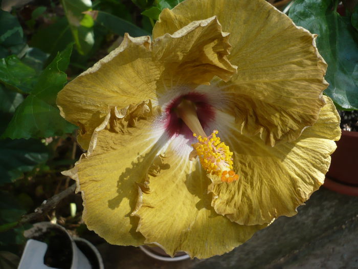 P1240132