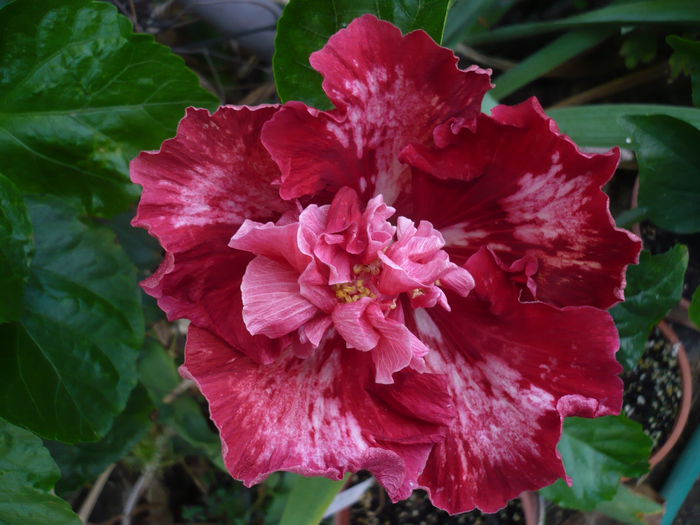 P1240144