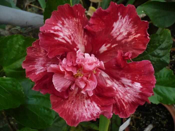 P1240157