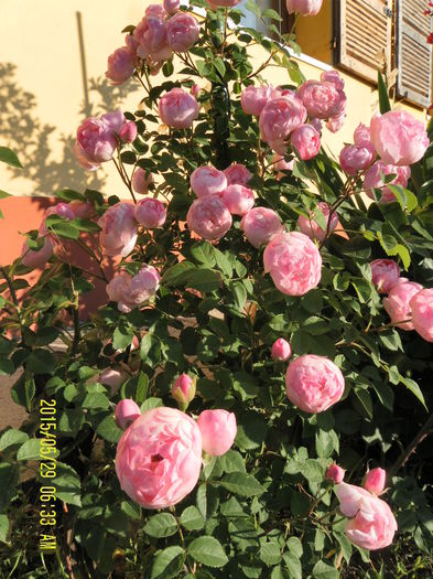 Raubriter (2)