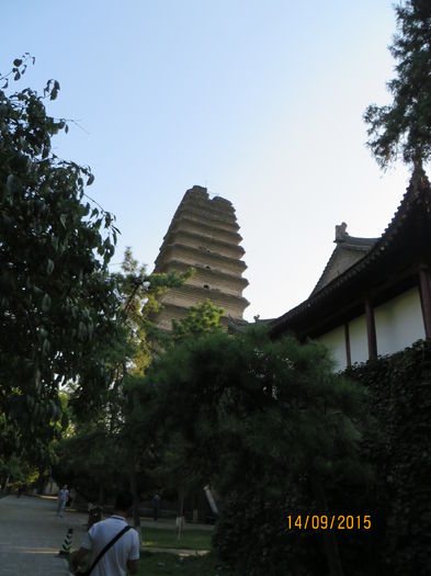 IMG_3945 - China 3_Xian
