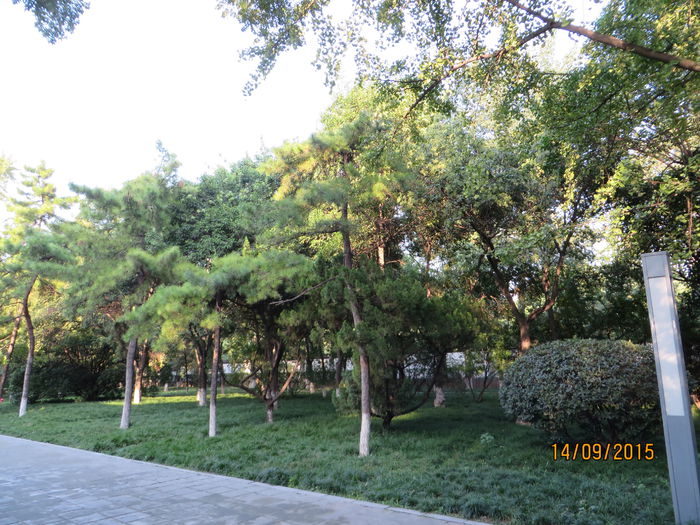 IMG_3962 - China 3_Xian