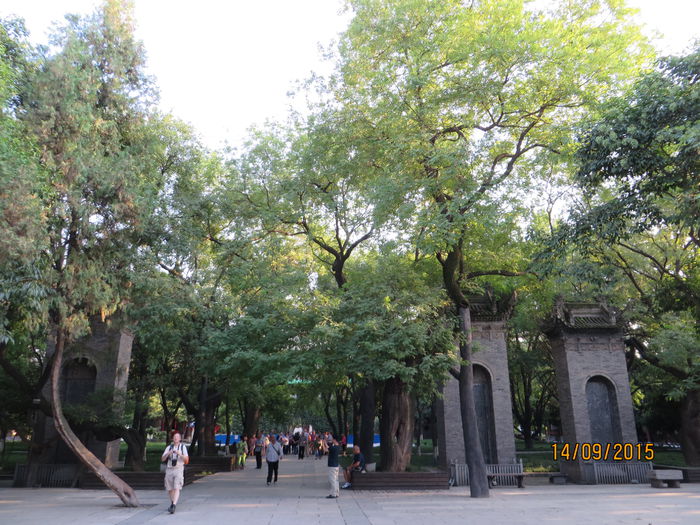 IMG_3978 - China 3_Xian