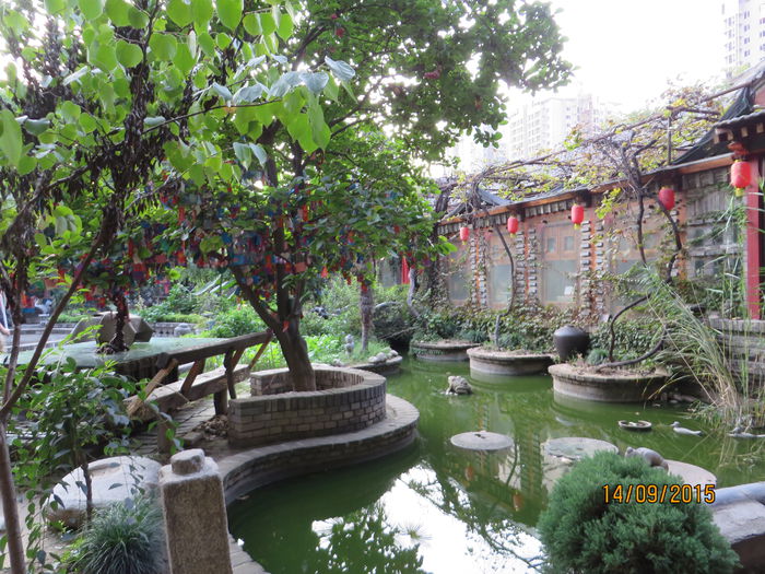 IMG_4001 - China 3_Xian