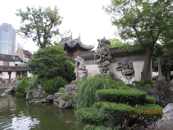 IMG_4336 - China 4_Shanghai