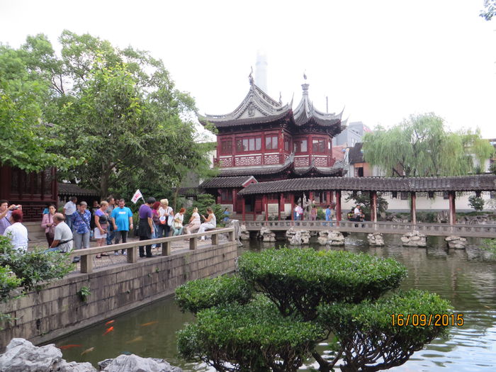 IMG_4339 - China 4_Shanghai