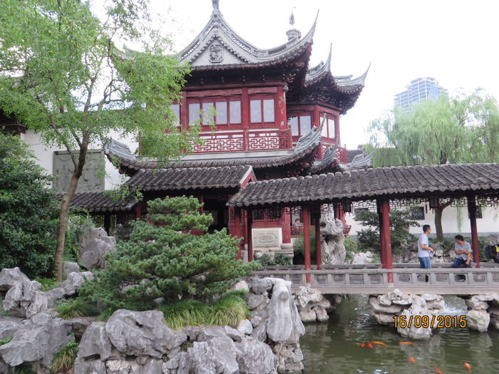 IMG_4340 - China 4_Shanghai