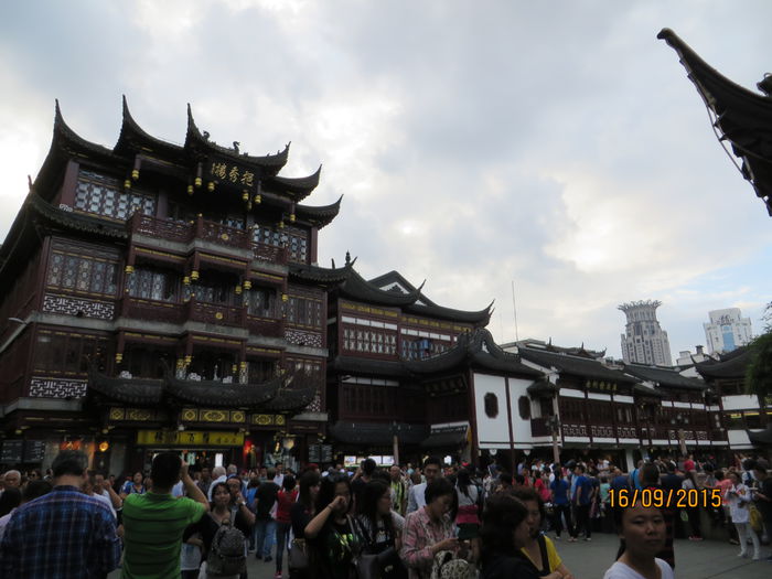 IMG_4344 - China 4_Shanghai