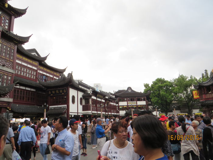 IMG_4345 - China 4_Shanghai