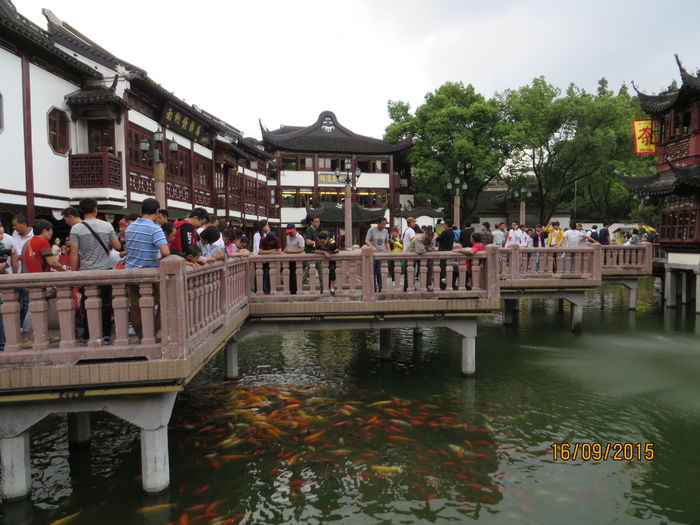 IMG_4348 - China 4_Shanghai