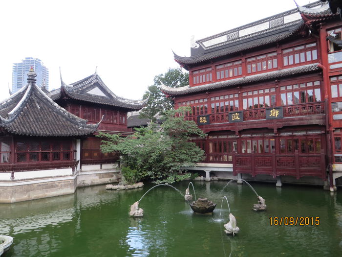 IMG_4349 - China 4_Shanghai