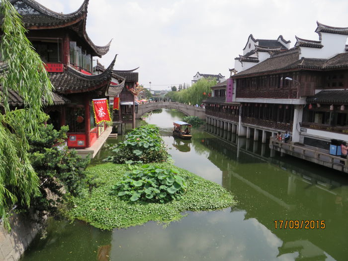IMG_4378 - China 4_Shanghai