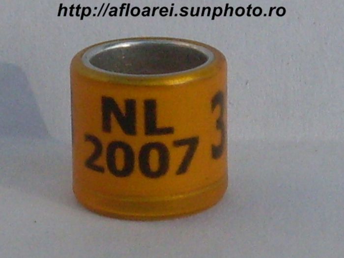 nl 2007 - OLANDA GOLD