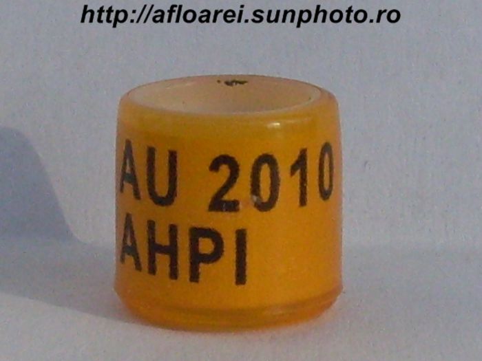 au 2010 ahpi