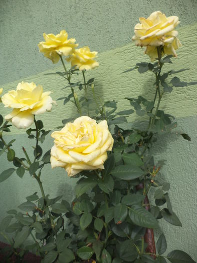 DSC04883