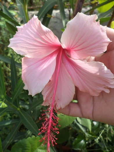 DSC04890