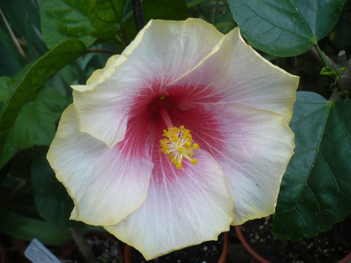 P1240172