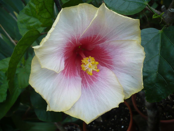 P1240174