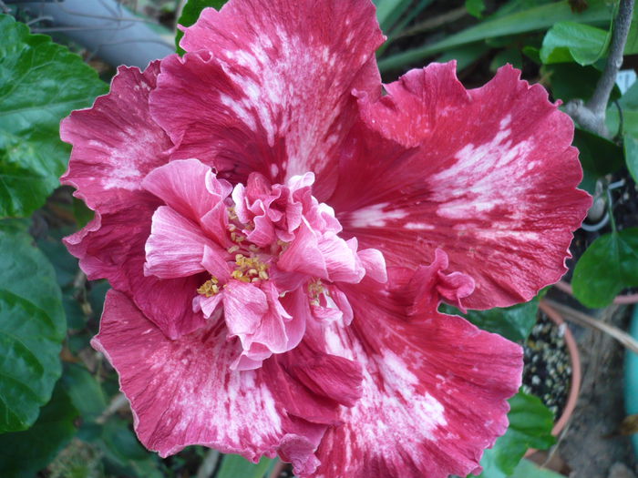 P1240177