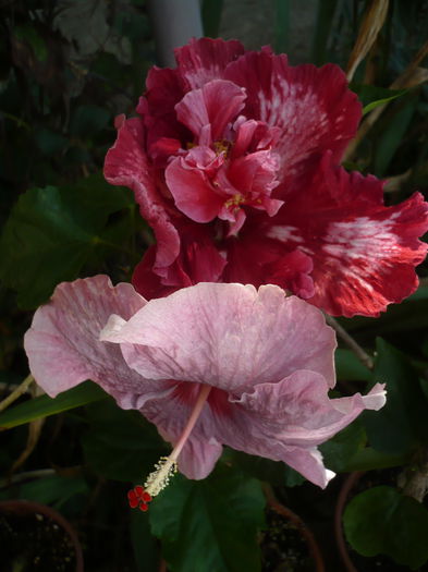 P1240189