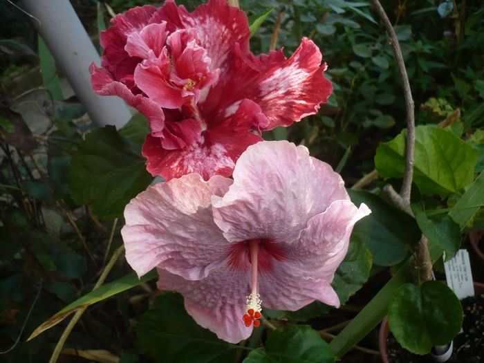 P1240193