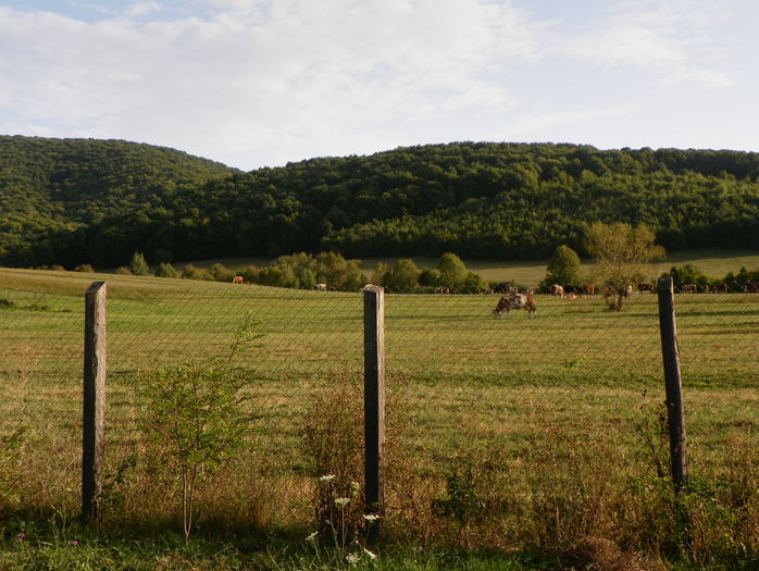 19 sept (30) - z-Dobarland 2015